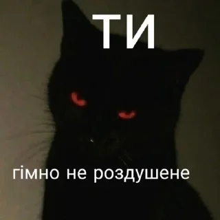 Sticker from Просто шось