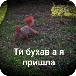 Sticker from Шось