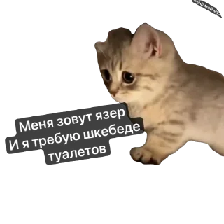 🫥 emoji Эпедемек добавьте обнову со шкебеде Telegram sticker 8 of 10