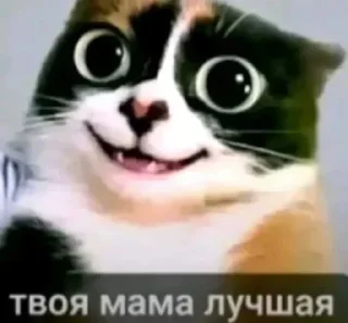 Sticker from БОЛЬШЕ ⇨ @CLOOBHUB КУКИ МЕМЫ СТИКЕРЫ ДЖАРВИС