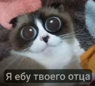 🤩 emoji БОЛЬШЕ ⇨ @CLOOBHUB КУКИ МЕМЫ СТИКЕРЫ ДЖАРВИС Telegram sticker 5 of 120