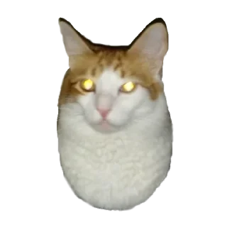 Sticker from мс пох