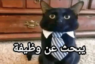 🌟 emoji بؤوس يتصل بنا Telegram sticker 24 of 120