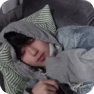 Sticker from @helpfromt_elis // HAN //