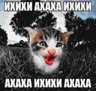 Sticker from слушай а ты случайно не