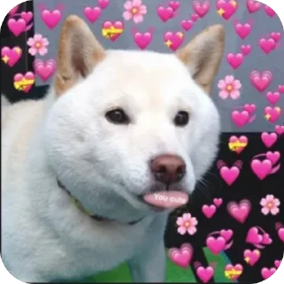 😘 emoji Собакены Telegram sticker 11 of 49