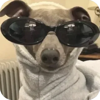 😎 emoji Собакены Telegram sticker 19 of 49