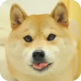 😒 emoji Собакены Telegram sticker 15 of 49