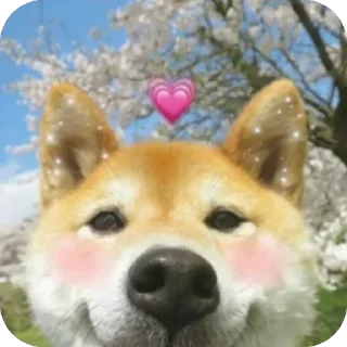 💗 emoji Собакены Telegram sticker 13 of 49