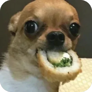 😋 emoji Собакены Telegram sticker 22 of 49