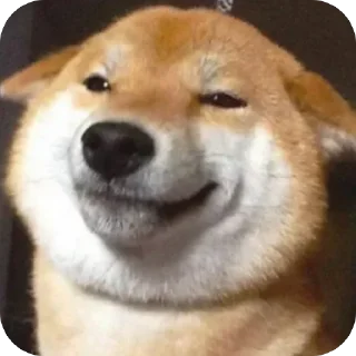 😏 emoji Собакены Telegram sticker 24 of 49