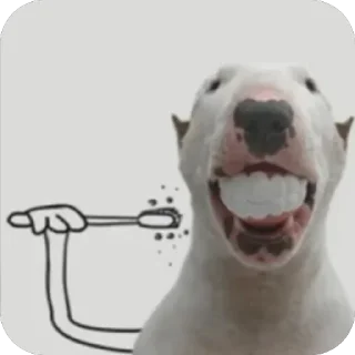 🛁 emoji Собакены Telegram sticker 6 of 49