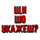 😄 emoji Закарпаття Telegram sticker 21 of 63