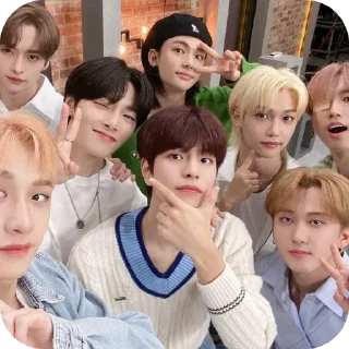 ❤ emoji stray kids ✧˖° Telegram sticker 16 of 20