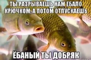😡 emoji няшки рыбяшки Telegram sticker 17 of 19