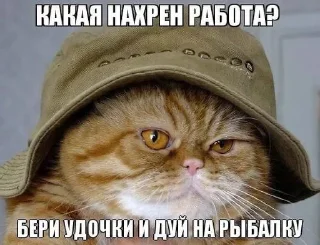 😇 emoji няшки рыбяшки Telegram sticker 9 of 19