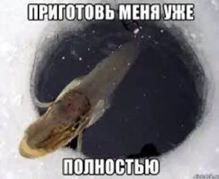 🔞 emoji няшки рыбяшки Telegram sticker 10 of 19