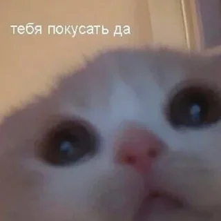 🤭 emoji Больше стиков тут: @stikery4 Telegram sticker 21 of 120