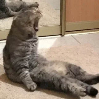 😡 emoji Больше стиков тут: @stikery4 Telegram sticker 9 of 120