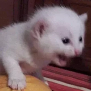 🤬 emoji Больше стиков тут: @stikery4 Telegram sticker 2 of 120