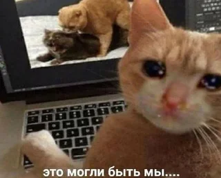 😔 emoji Больше стиков тут: @stikery4 Telegram sticker 24 of 120
