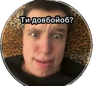 Sticker from Тигры полосатые