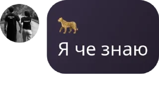 🧑‍❤️‍💋‍🧑 emoji тигры арр🐅 pack by @QuotLyBot Telegram sticker 12 of 29