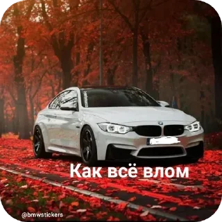 😔 emoji Wildcars 2.0 @bmwstikers @wildphonkmusic Telegram sticker 2 of 120