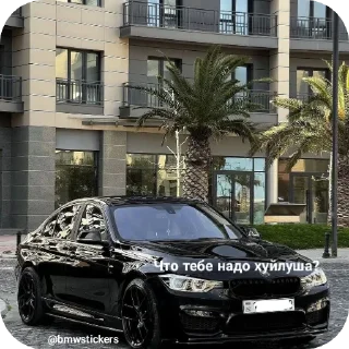 🤨 emoji Wildcars 2.0 @bmwstikers @wildphonkmusic Telegram sticker 22 of 120