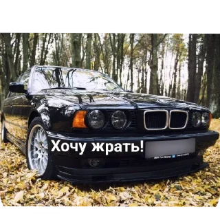 🚗 emoji Wildcars 2.0 @bmwstikers @wildphonkmusic Telegram sticker 15 of 120