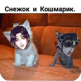 🐶 emoji Лан Цяньцю "@LightBlackT_T Telegram sticker 23 of 120