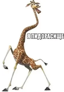 👍 emoji Больше стикеров 👉🏻 @stickertg4 Telegram sticker 2 of 37