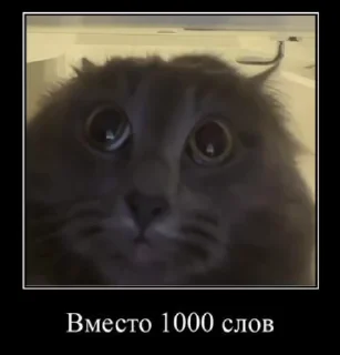 🙂 emoji Больше стикеров 👉🏻 @stickertg4 Telegram sticker 24 of 50