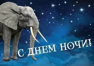 🥀 emoji я гомункул Telegram sticker 12 of 73
