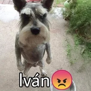 😡 emoji я гомункул Telegram sticker 14 of 73