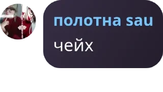 Sticker from чейзовские 🩶 pack by @QuotLyBot
