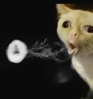 🚬 emoji @Thee_bos @DTOUserBot Paketi 1 Telegram sticker 7 of 19