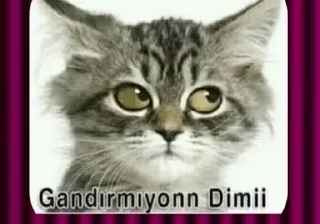 🤔 emoji @Thee_bos @DTOUserBot Paketi 1 Telegram sticker 17 of 19