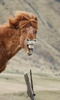 😁 emoji @Thee_bos @DTOUserBot Paketi 1 Telegram sticker 4 of 19