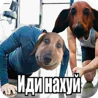 🐶 emoji Иди отсюда^•^ Telegram sticker 10 of 35
