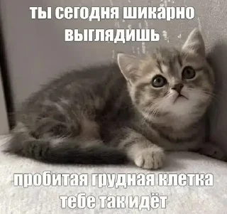 🥰 emoji Кисы наркоши Telegram sticker 17 of 38