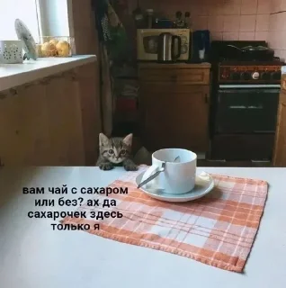 😋 emoji Кисы наркоши Telegram sticker 9 of 38