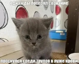 😴 emoji Кисы наркоши Telegram sticker 20 of 38
