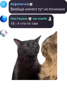 👩‍🦳 emoji Оргия pack by @QuotLyBot Telegram sticker 9 of 64