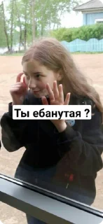 Sticker from MarasKelpsFados