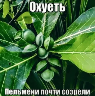 😔 emoji Больше стиков тут: @stikery4 Telegram sticker 24 of 45