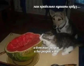 😏 emoji Больше стиков тут: @stikery4 Telegram sticker 19 of 45