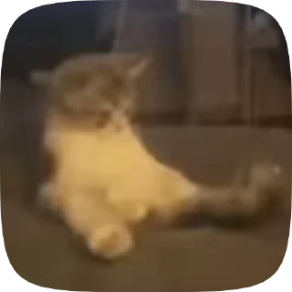 Sticker from 😾!kittens!😾