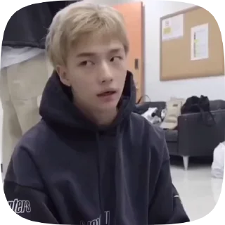 🤮 emoji Джинни испытывает иу @moimuzhjisung Telegram sticker 2 of 24