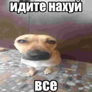 Sticker from я такая тупая блин клас